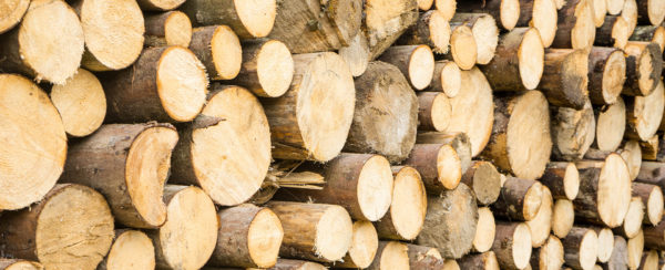 Close up detail of a bunch of stacked wood ready to be burned in a wood stove or fireplace